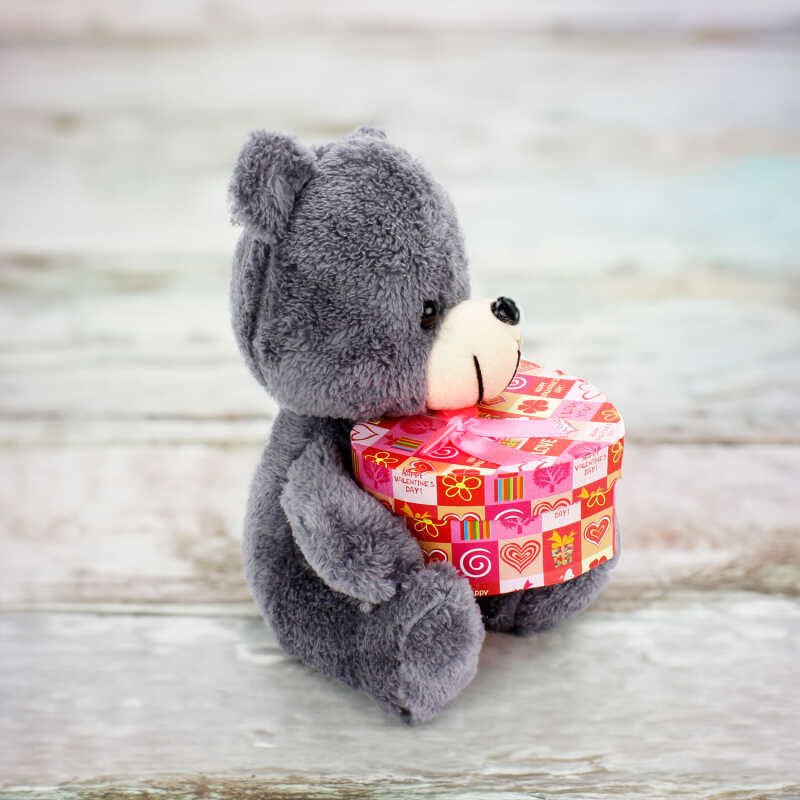 Peluş Ayıcık Kalp Kutulu KIRMIZI 25 CM
