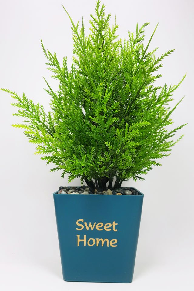Dekor Ev Ofis Ağaç Kuşkonmaz Koyu Renk 15x30cm